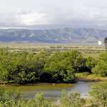 The politics of water