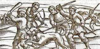 Rabies: a potential killer
