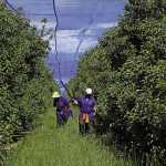 Get ready sustainable farming is here to stay