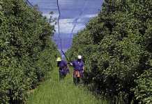 Get ready sustainable farming is here to stay