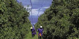 Get ready sustainable farming is here to stay