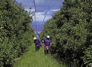 Get ready sustainable farming is here to stay