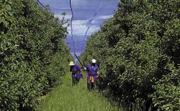 Get ready sustainable farming is here to stay