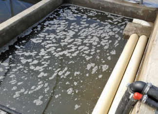 A better way to do aquaponics