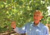 Secrets of a visionary fruit farmer Aat Hoekstra