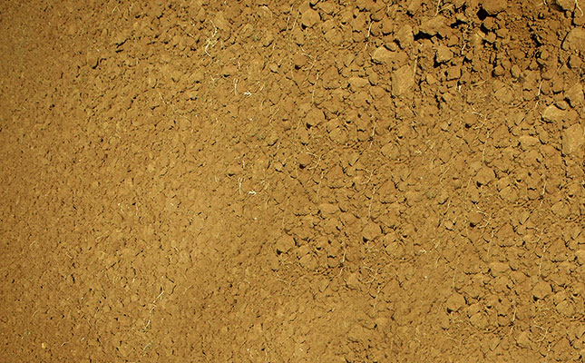 Better plant survival and germination in hot, dry conditions Better plant survival and germination in hot, dry conditions