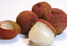 Preparing the soil for litchi production