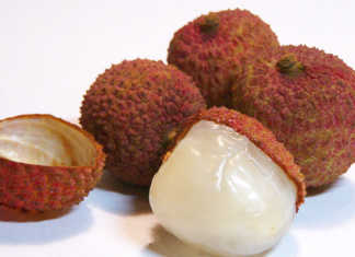 Preparing the soil for litchi production