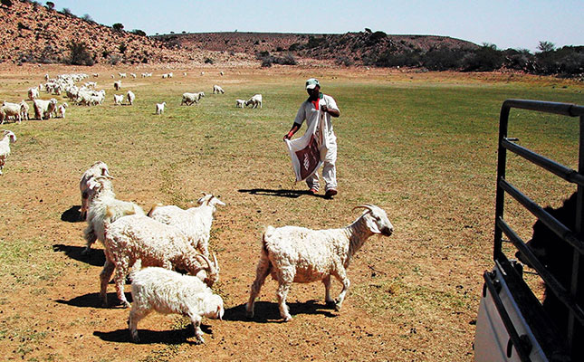 Efficient feeding during drought Efficient feeding during drought