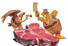 challenges-and-opportunities-for-sas-red-meat-producers