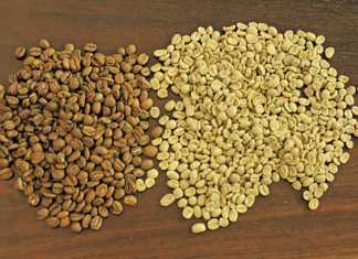 Coffee and olive oil: authentic Italy in the Western Cape