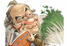 Encroaching bush, grass threaten SA farming