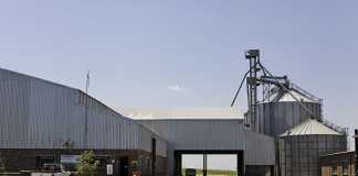 Maize meal and animal feed milling – lessons from an expert
