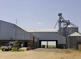 Maize meal and animal feed milling – lessons from an expert