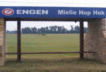 Hop on the NAMPO Mielie Hop!