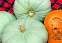 Planting vegetables: 3 things to consider Planting vegetables: 3 things to consider