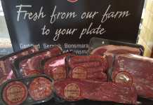 Sernick announces certified Bonsmara beef brand sernick-beef