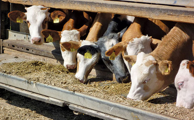 Silage basics Silage basics