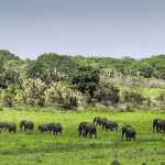 Battling poverty through conservation