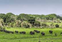Battling poverty through conservation