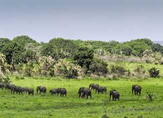 Battling poverty through conservation