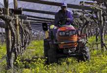 A Kubota B2420 tractor for the price of a quad bike
