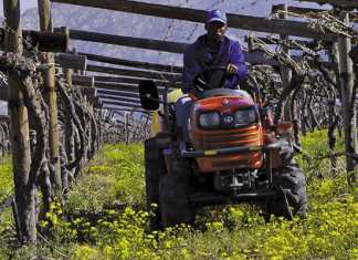 A Kubota B2420 tractor for the price of a quad bike