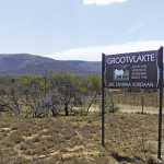The legacy of the Jordaan Boer goats