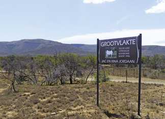 The legacy of the Jordaan Boer goats