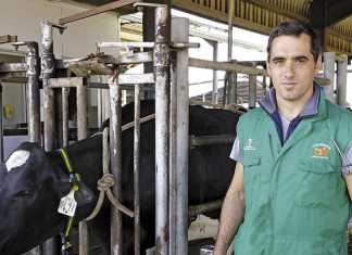 Trends in animal health and veterinary services