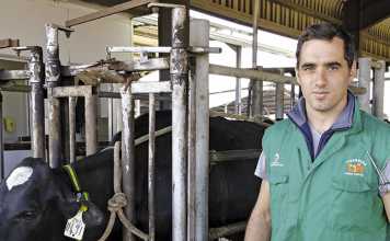 Trends in animal health and veterinary services