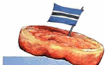 botswana-beef-exports-opportunities-for-sa-farmers