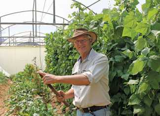 Organic-farmer-Geoffrey-Green