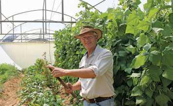 Organic-farmer-Geoffrey-Green