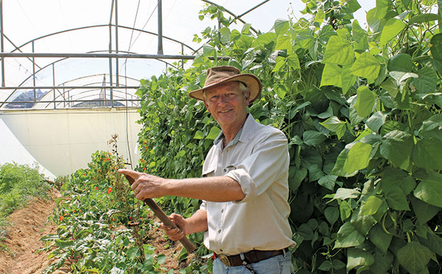 Successful, small-scale organic farming in the city Successful, small-scale organic farming in the city