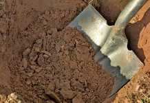 preparing-the-soil-for-bananas