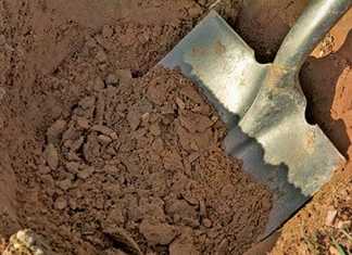 preparing-the-soil-for-bananas