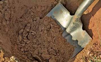 preparing-the-soil-for-bananas