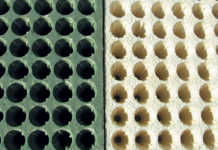 Seedlings and seedling trays