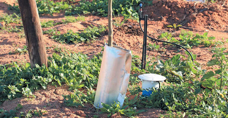Cutting water and energy use in orchards Cutting water and energy use in orchards