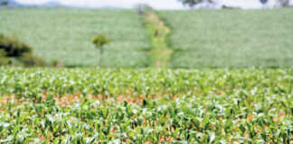 New commission to audit landownership in zimbabwe