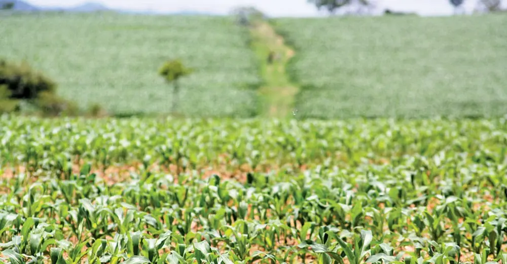 New commission to audit landownership in zimbabwe