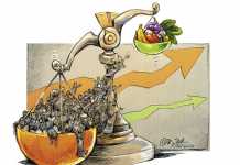 Agricultural output versus SA’s population growth