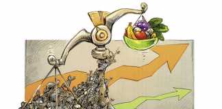 Agricultural output versus SA’s population growth