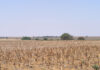 Agri in recession but industry performance will improve drought condtions