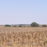 drought condtions