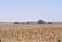 Agri in recession but industry performance will improve drought condtions