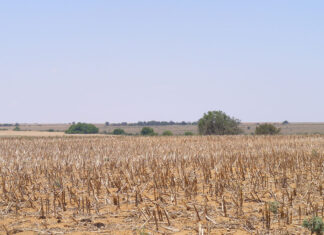 Agri in recession but industry performance will improve drought condtions