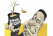 Agriculture is paralysed by SA's poor leadership- Tony Leon