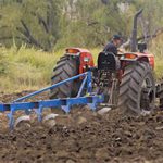 fwa2013529113352.jpg